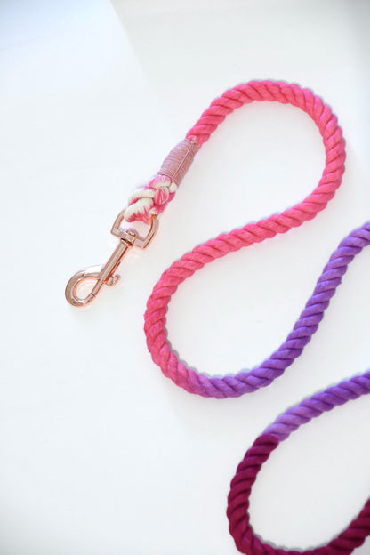 OMBRE PAW LOVE leash