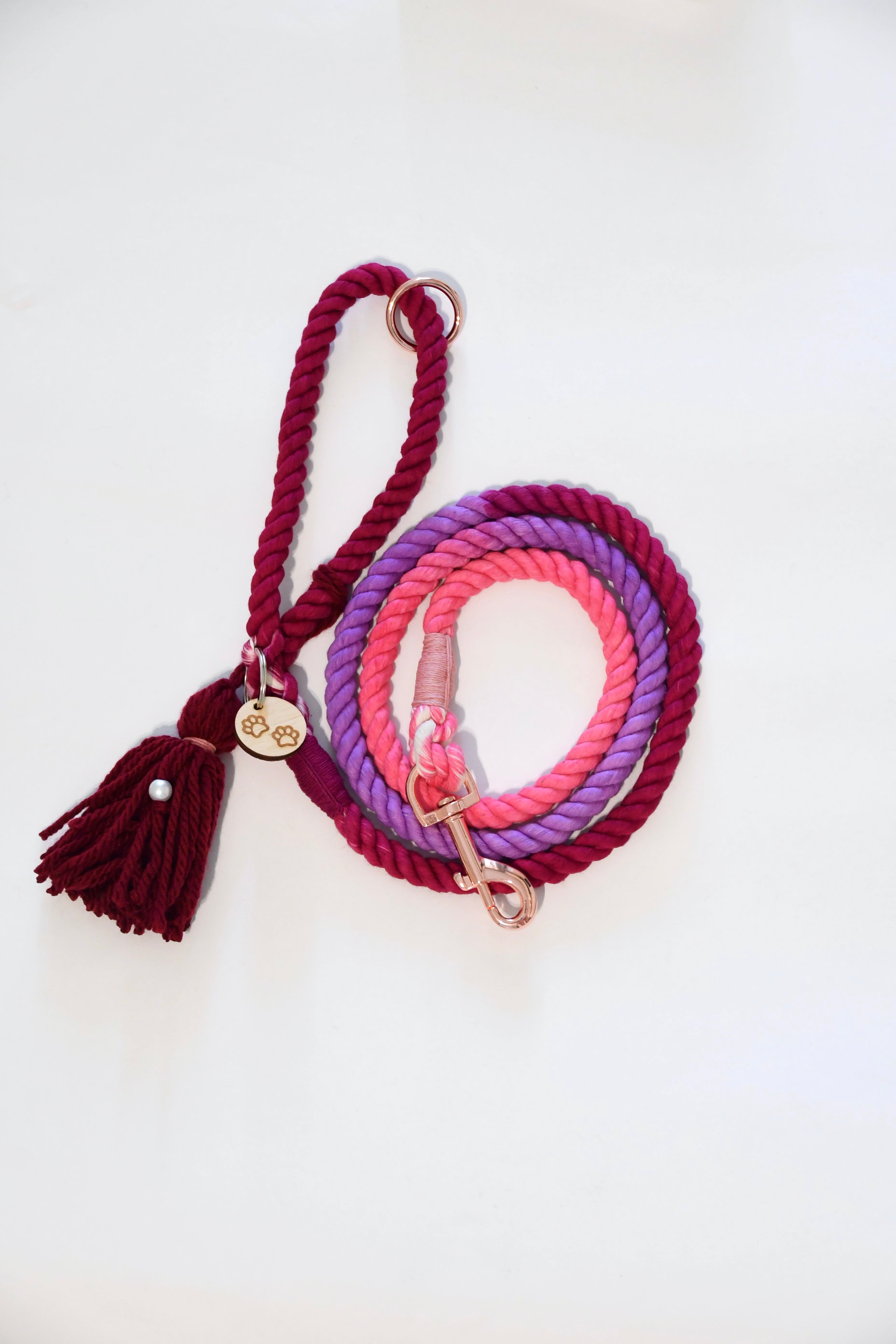 OMBRE PAW LOVE leash